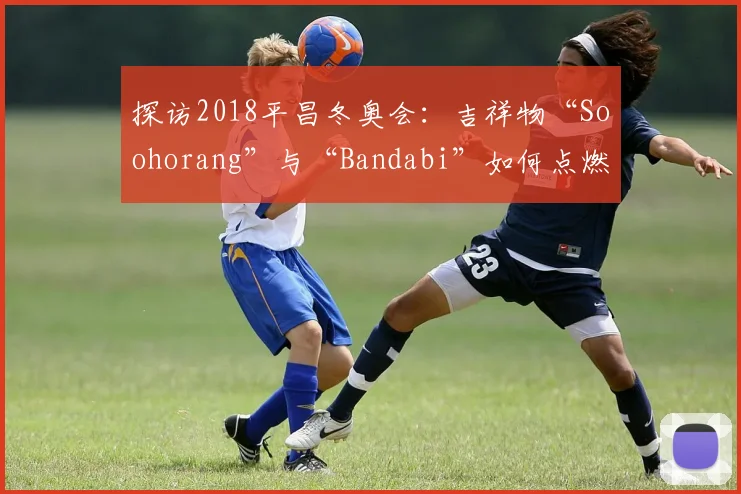 探访2018平昌冬奥会：吉祥物“Soohorang”与“Bandabi”如何点燃赛场热情？