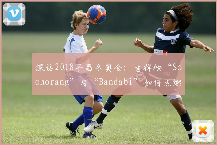 探访2018平昌冬奥会：吉祥物“Soohorang”与“Bandabi”如何点燃赛场热情？