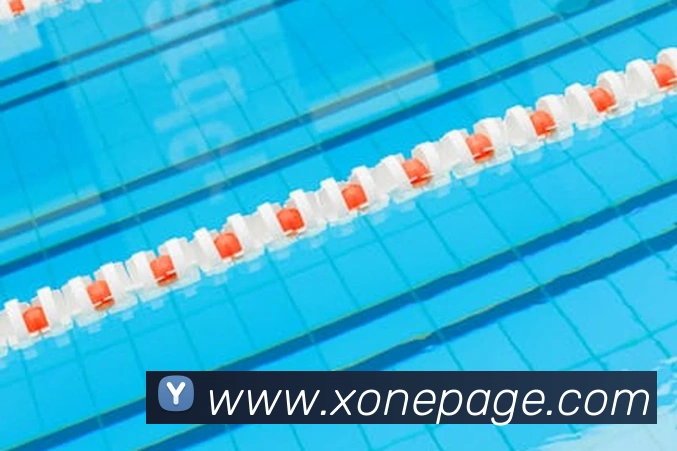 乐鱼网页版登录界面首页品牌故事